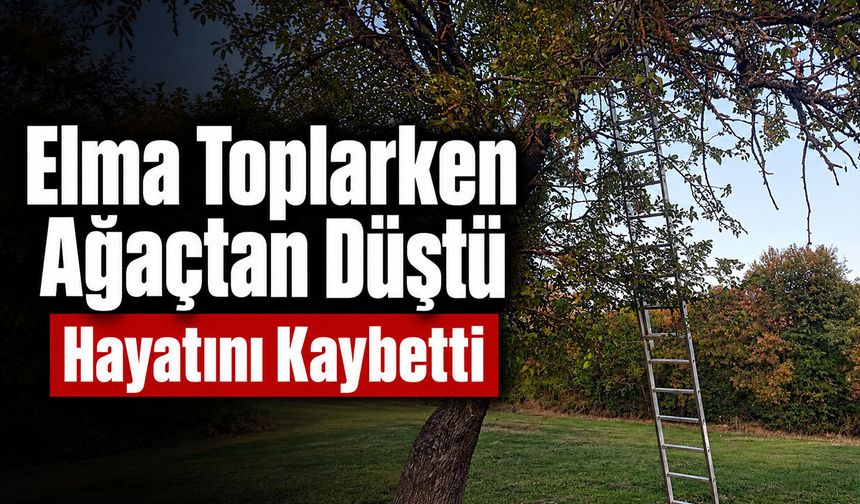 Bilecik’te Elma Toplarken Ağaçtan Düştü, Hayatını Kaybetti