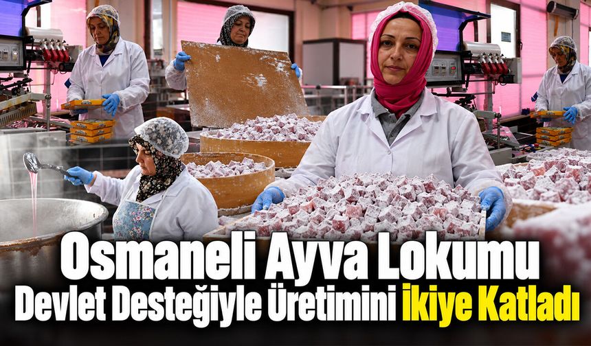 Osmaneli ayva lokumu devlet desteğiyle üretimini ikiye katladı