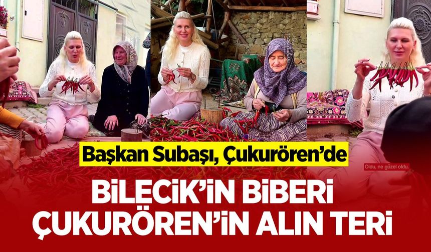 Bilecik’in biberi, Çukurören’in alın teri