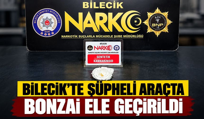 Bilecik'te Şüpheli Araçta Bonzai Ele Geçirildi