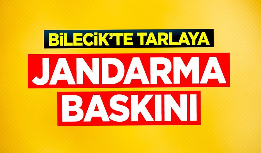 Bilecik'te tarlaya jandarma baskını