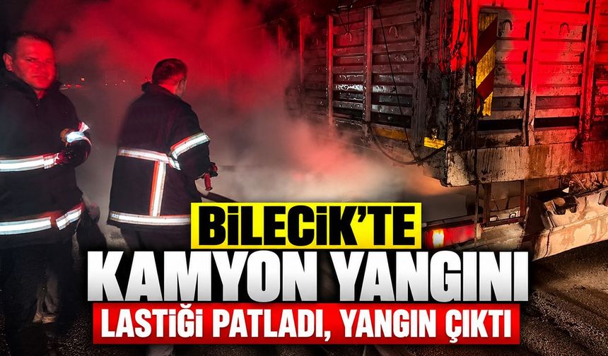 Bilecik'te kamyon yangını