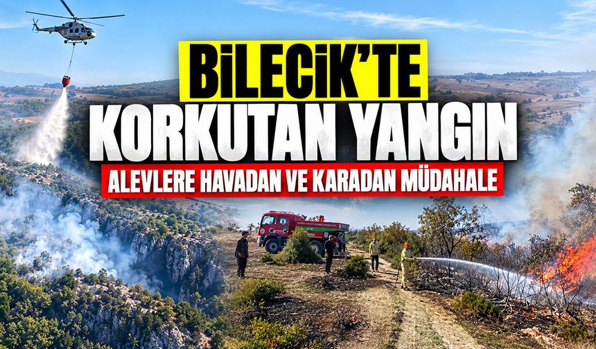 Bilecik'te korkutan yangın: Alevlere Havadan ve Karadan Müdahale