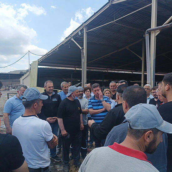 513968239 1193982236076039 7581118421954391338 N