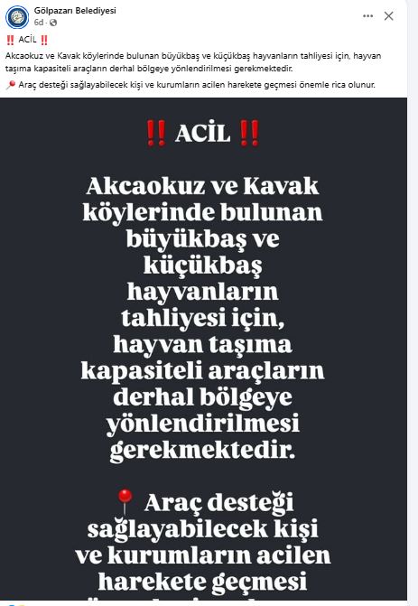 Acilson-1