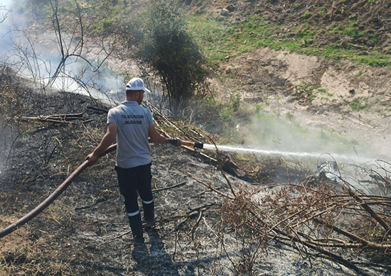 515986153 1468745367894511 8490890264790734050 N