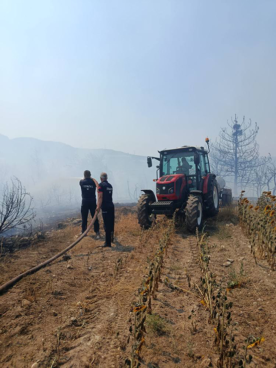 516220211 1468745421227839 5581818083182953940 N