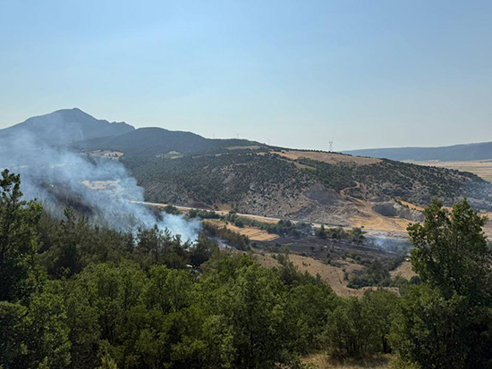 517112831 1468745541227827 7540140581074762781 N