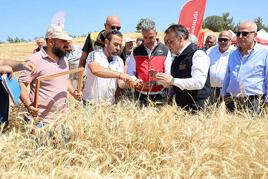 517937473 1021248573425305 8809900148973819597 N