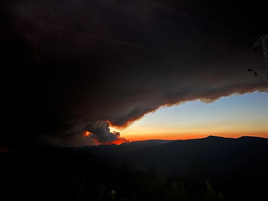 520264939 1476904333745281 7386544945371422231 N Min