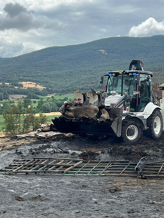 A W487809 04