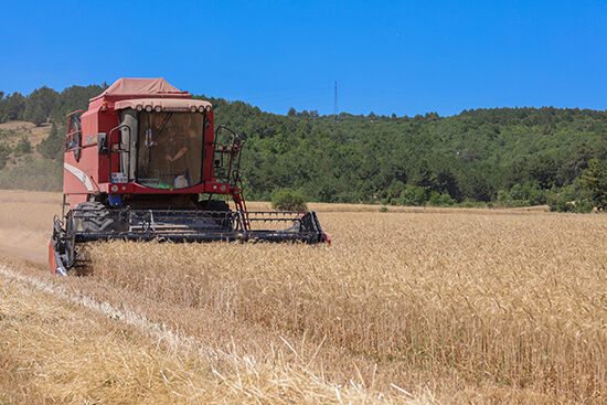 Whatsapp Image 2025 07 08 At 16.41.01