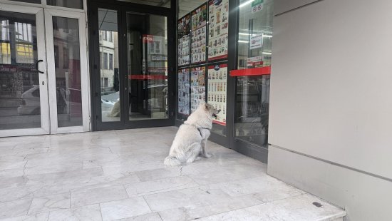Bilecik 039 Te Yurekleri Isitan Anlar 2344 (1)