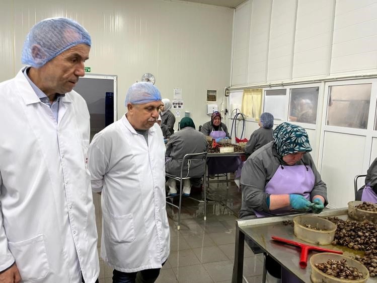Bilecik’te Kırsal Kalkınma Yatırımlarına Destek Sürüyor 1666