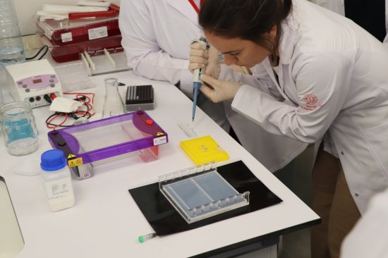 İlk Proje Çukurören Biberi Oldu 1377