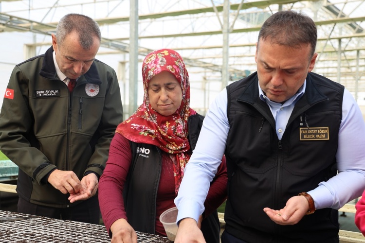 926 B I N M A R U L F I D E S I T O P R A K L A B U L U S T U 3764