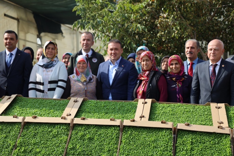 926 B I N M A R U L F I D E S I T O P R A K L A B U L U S T U 3767