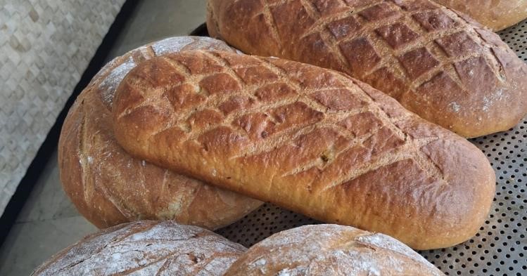 Bilecik’te Gıda Teknolojisi Öğrencileri Festivale Damga Vurdu 4407