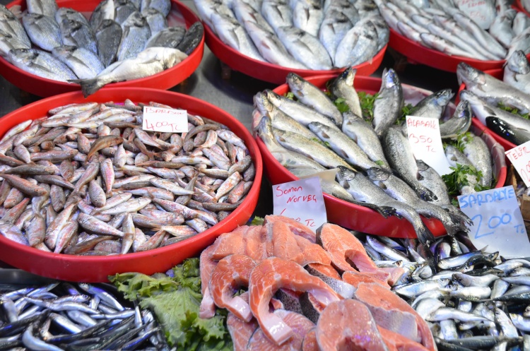 M E V S I M I N I N E N L E Z Z E T L I B A L I K L A R I H A M S I V E S A R D A L Y E 4479