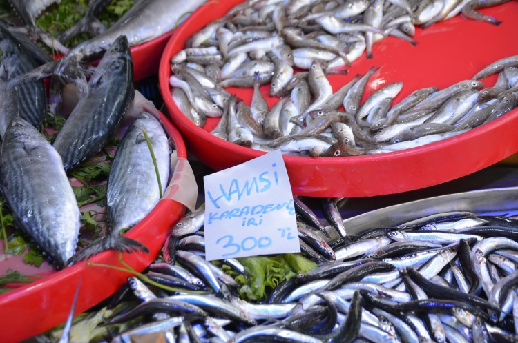 M E V S I M I N I N E N L E Z Z E T L I B A L I K L A R I H A M S I V E S A R D A L Y E 4480