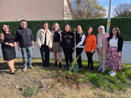 24 K A S I M 039 D A Y E S I L V A T A N I C I N E L E L E 6157