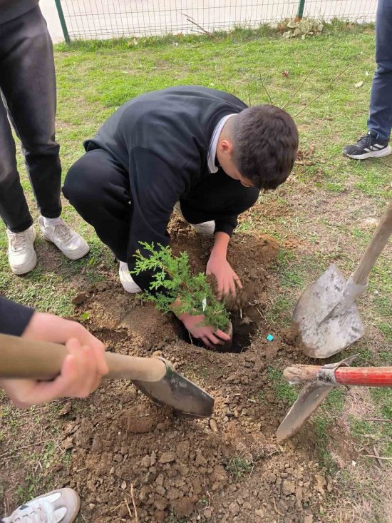 24 K A S I M 039 D A Y E S I L V A T A N I C I N E L E L E 6160