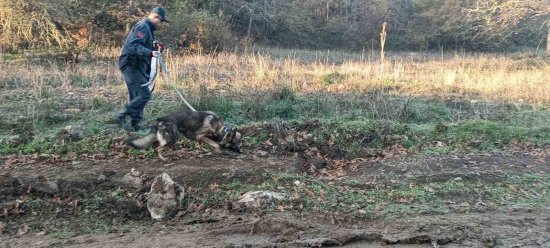 34 Y A S I N D A K I I S M A I L H E R Y E R D E A R A N I Y O R 5723