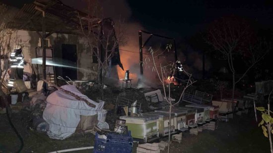 A R I K O V A N L A R I N I N B U L U N D U G U S U N D U R M A Y A P I D A Y A N G I N 4893