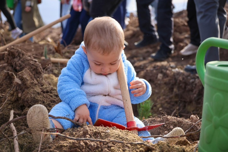 B I L E C I K T E 5 B I N F I D A N T O P R A K L A B U L U S T U 5409