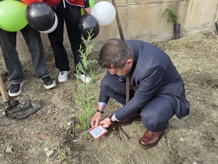 B I L E C I K T E G E L E C E G E N E F E S 5806