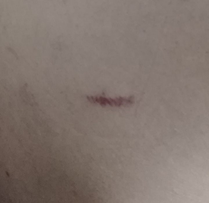 B O Z U Y U K 039 T E 16 Y A S I N D A K I C O C U G A O R A N T I S I Z G U C I D D A S I 5961