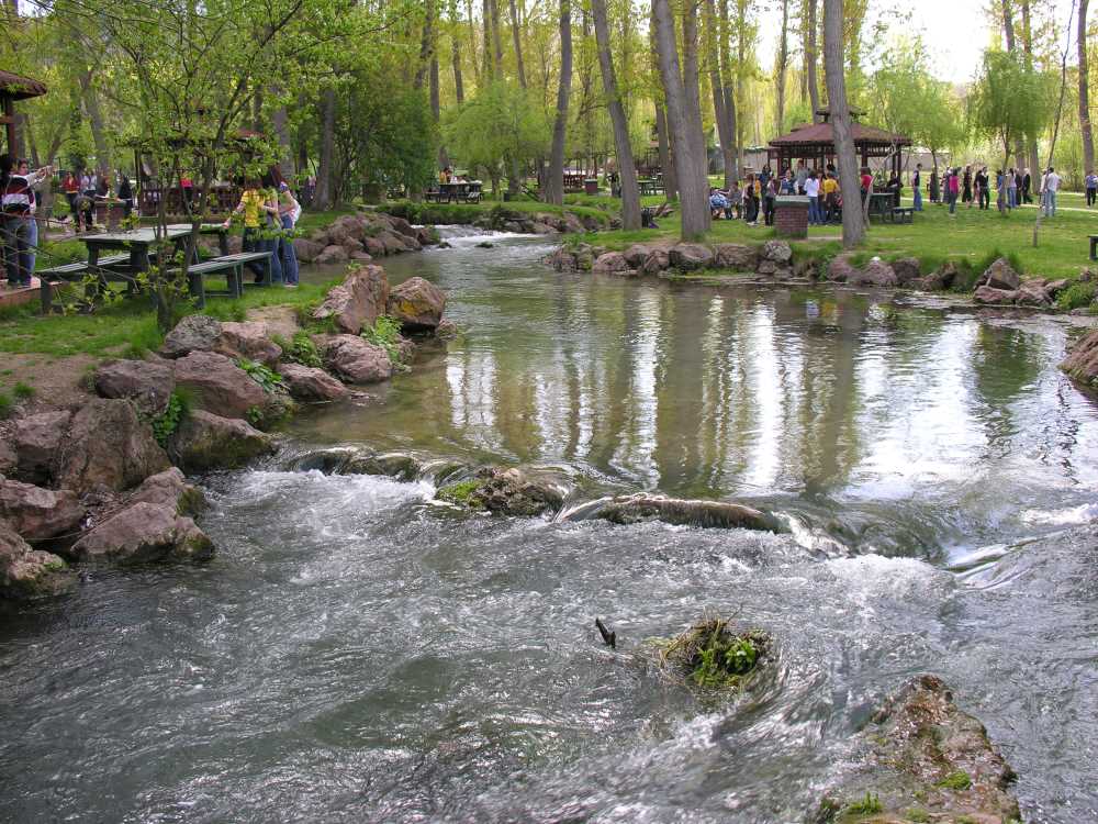 Bozüyük’ün Yeşil Hazinesi Doğa Tutkunlarını Bekliyor 5983