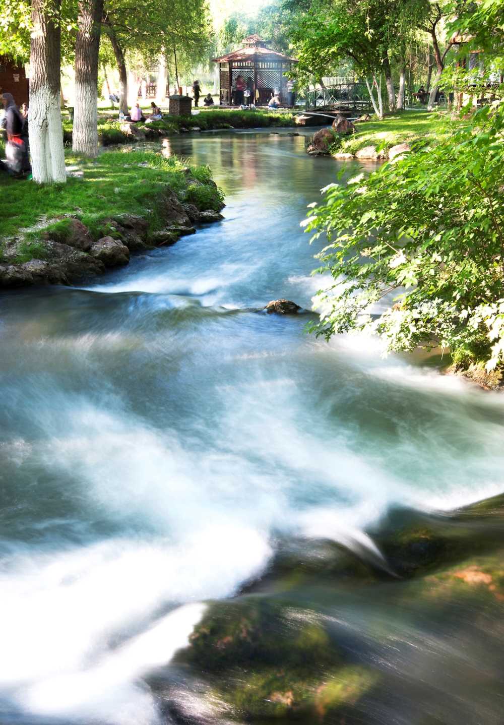Bozüyük’ün Yeşil Hazinesi Doğa Tutkunlarını Bekliyor 5984