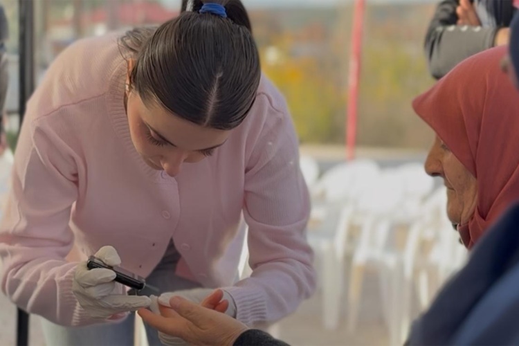 D I Y A B E T S E F E R B E R L I G I 6386