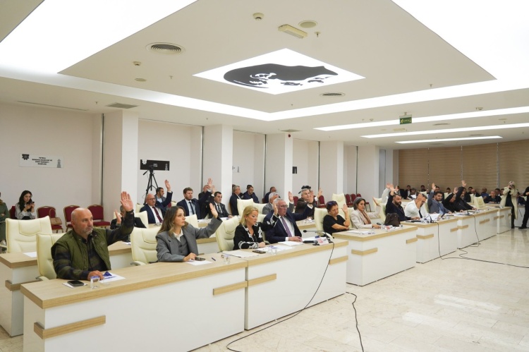 G U N D E M M A D D E L E R I K A R A R A B A G L A N D I 4908