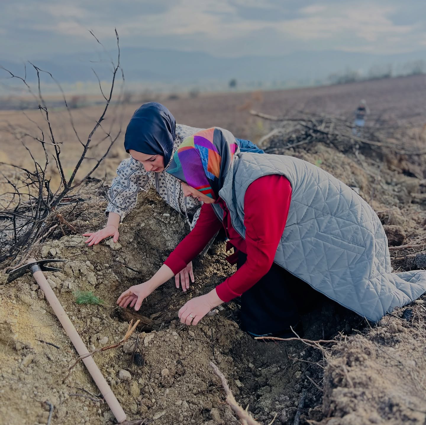 Geleceğe Umut Ektiler 5391