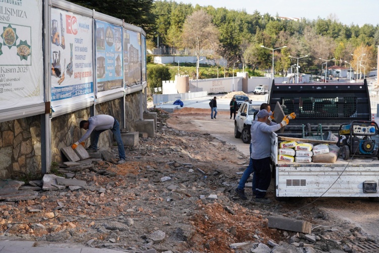 H A M S U 039 D A C A L I S M A L A R I I N C E L E D I 5933