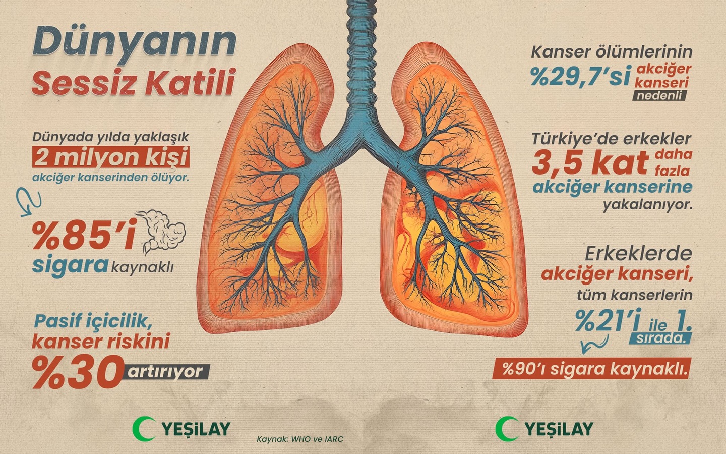 Her 3 Kanser Ölümünden Biri Akciğer Kanseri 6397