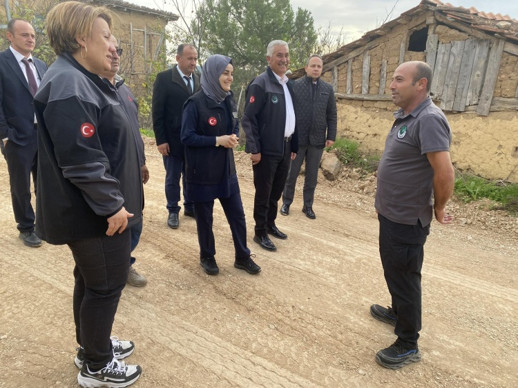 K O Y Y O L L A R I N A B U Y U K D O K U N U S 5782