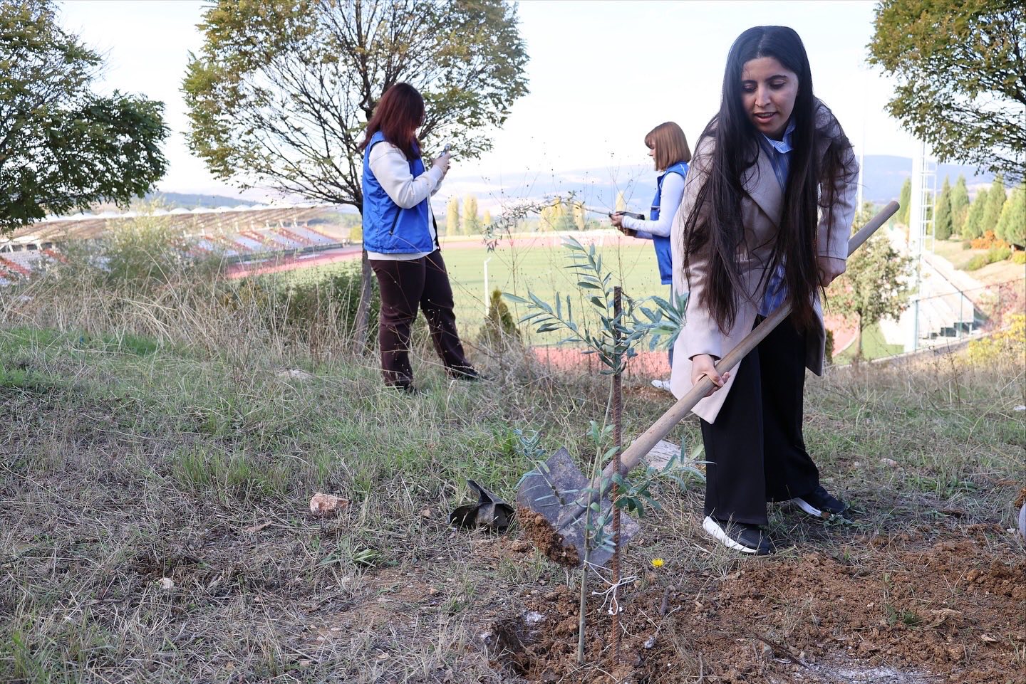 Kampüs Yeşeriyor Zeytin Fidanları Toprakla Buluştu 4750