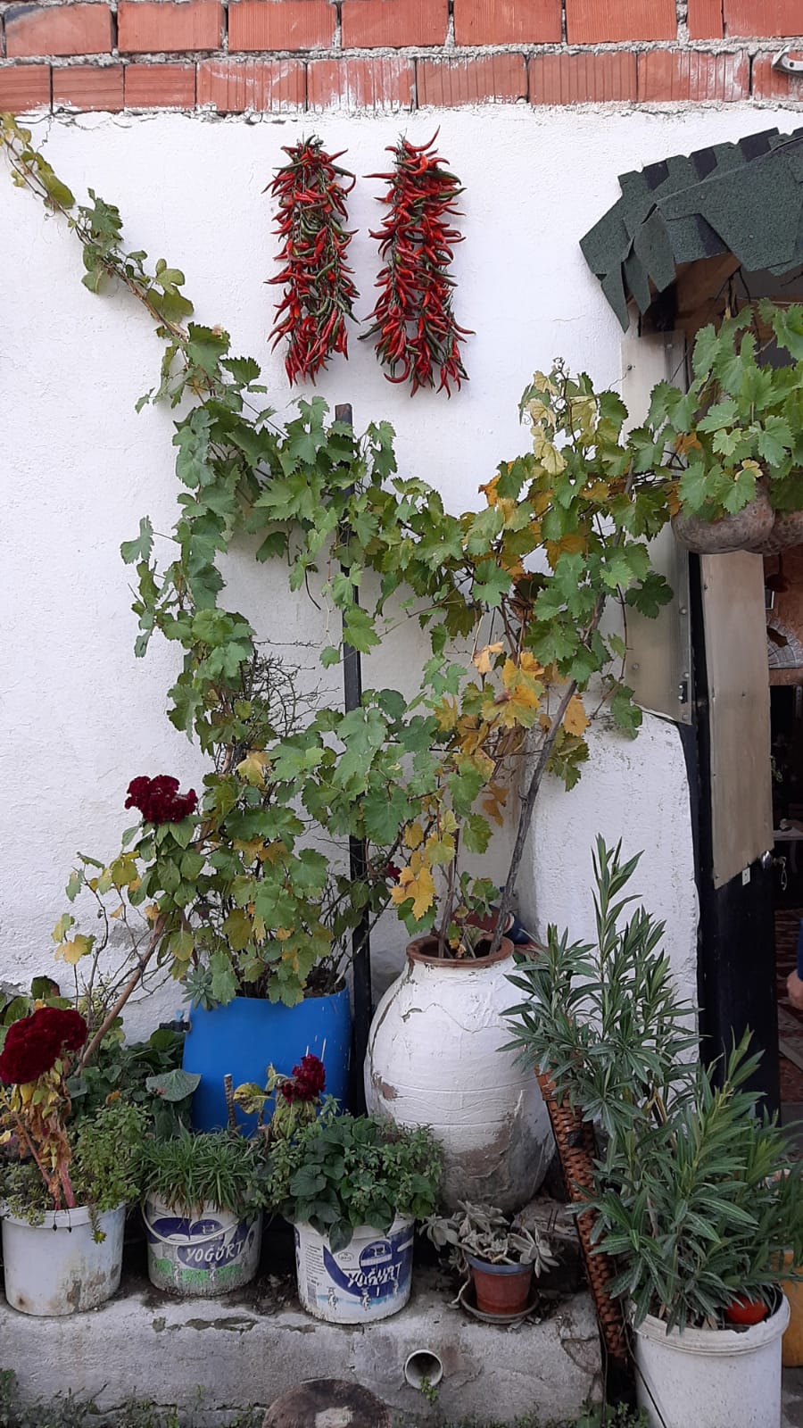 (Manşet) Bi̇r Kadinin Emeği̇, Bi̇r Köyün Umudu Oldu 5322