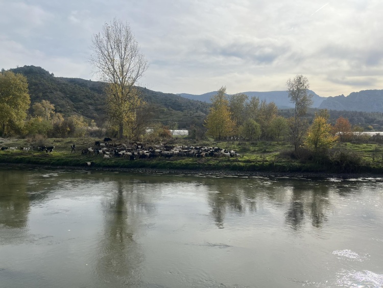 O Ilcede Sonbahar Baska Bir Guzel 5836 (1)