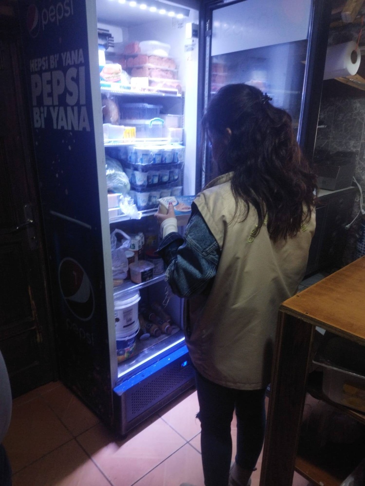 S A G L I K L I G I D A I C I N S A H A D A L A R 6313