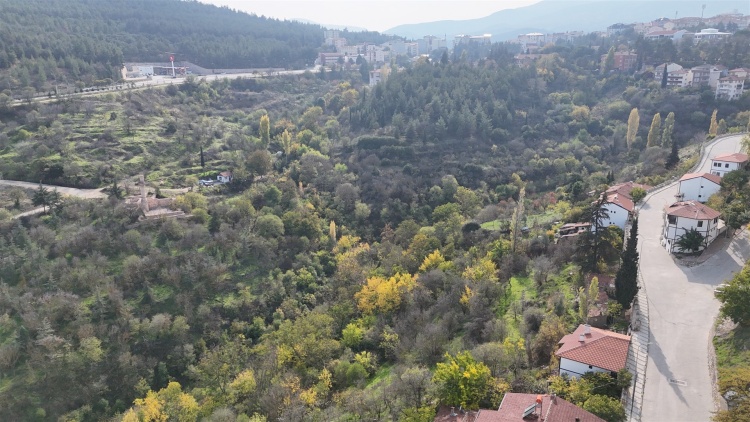 Tarihi Alanlarda Renk Cümbüşü 5044