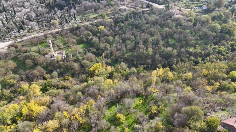 Tarihi Alanlarda Renk Cümbüşü 5045