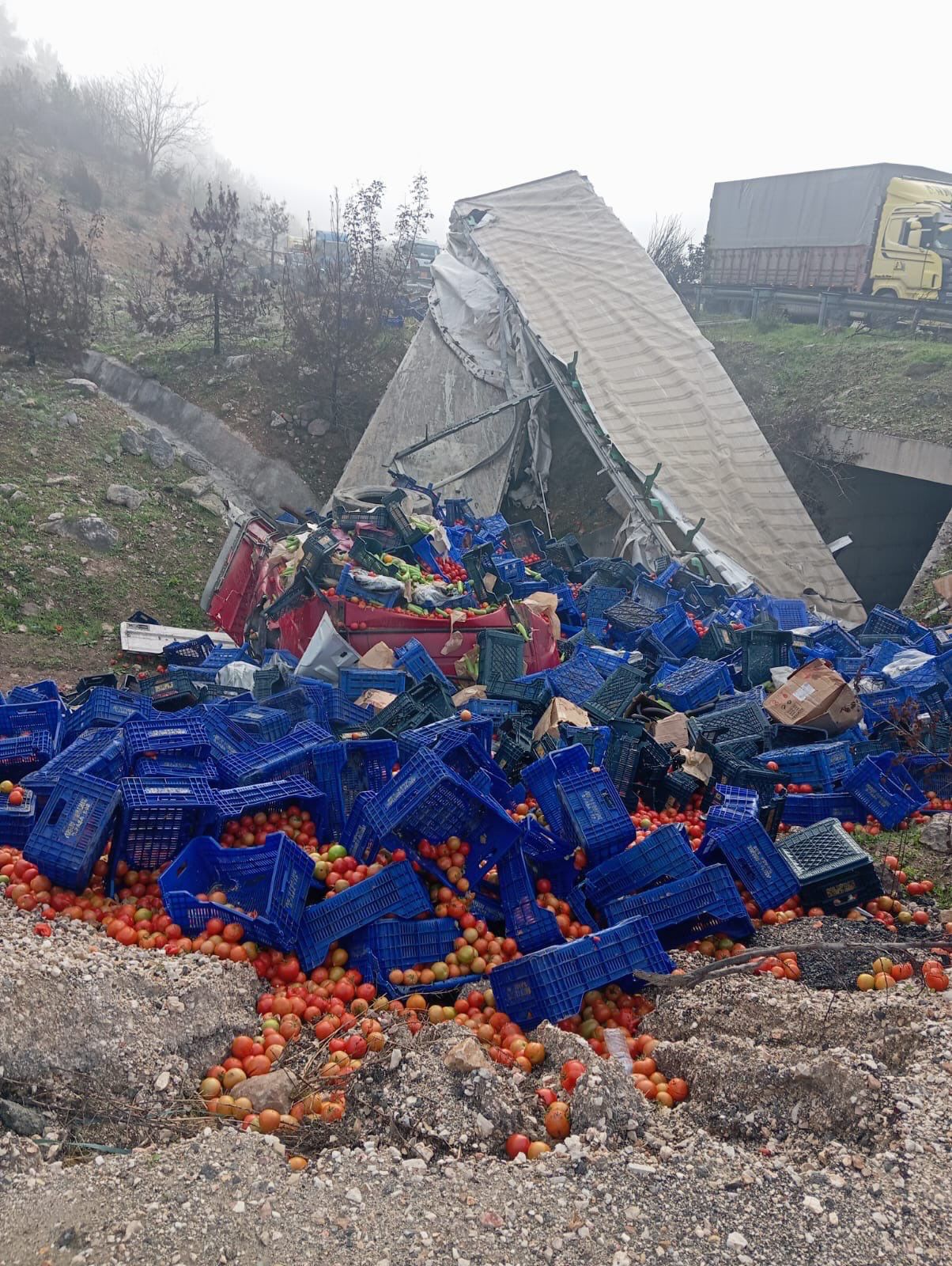 Whatsapp Image 2025 11 16 At 10.18.29