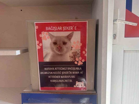 039 039 S E K E R 039 039 I N I S I T T I G I O K U L 7607