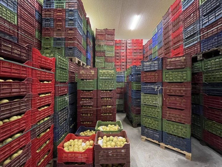 100 K A P A S I T E Y L E H I Z M E T T E 6921