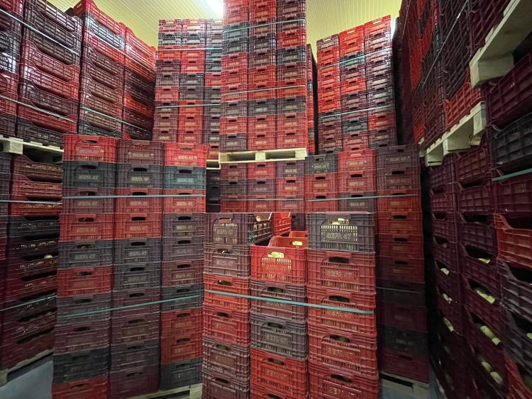 100 K A P A S I T E Y L E H I Z M E T T E 6922