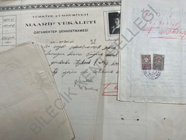 11 039 I N C I T O P L A N T I Y I Y A P T I L A R 7148